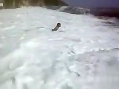 Busty brunette's lower part of a bikini drops as huge waves hit her