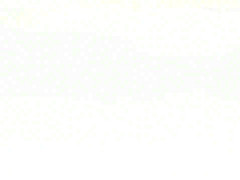 Sexiest girls of the beach are the stars of the day!