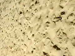 Cumming to a sleeping bikini girl on the beach