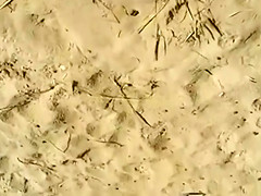 Cumming to a sleeping bikini girl on the beach