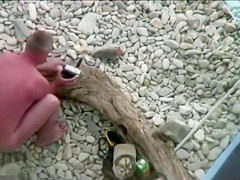 First she swims, then she shags