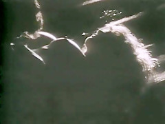 Horny homemade Celebrities, Outdoor porn movie