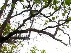 Incredible pornstar in amazing brunette, outdoor sex scene