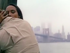 Best amateur Vintage, Compilation adult scene