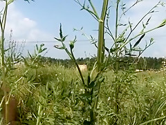 Horny homemade Brunette, Small Tits adult scene