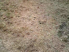 Slender nudist goes for a swim in the lake