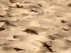 Topless girl on the beach has a nice booty