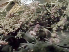 Incredible amateur Outdoor, Compilation adult movie