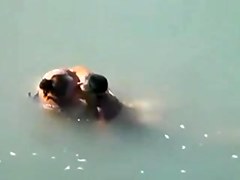 Busty bbw caught fucking in the sea