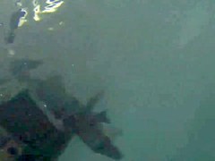 swiming 3