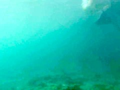 swiming 3