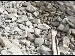 At a public beach man share his wife with a stranger voyeur