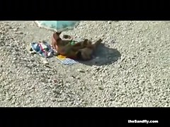 theSandfly Daring Beach Sexhibitionists