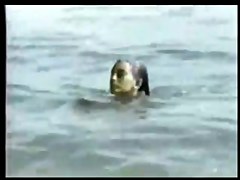 Not A Girl But A Siren