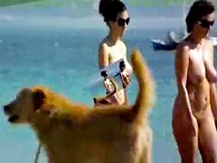 Beach Beauty 3 with perfect Boobs