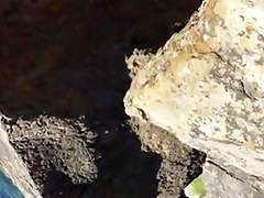 Tugas apanhados nas rochas
