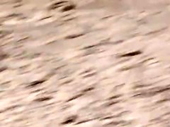 This is the world level! The Beach Hunters! File.08