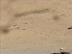 Group sex at nudist beach