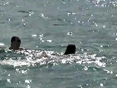 Sex on the Beach. Voyeur Video 37