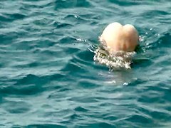 Sex on the Beach. Voyeur Video 204