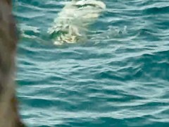 Sex on the Beach. Voyeur Video 204