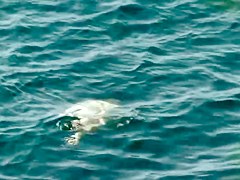 Sex on the Beach. Voyeur Video 202