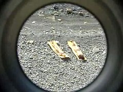 Sex on the Beach. Voyeur Video 169