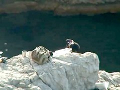 Sex on the Beach. Voyeur Video 248