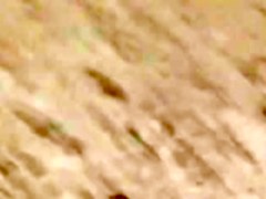 A Voyeur films a pair on beach
