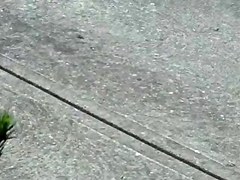 Sunbathing Neighbour