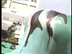 greek voyeur 80