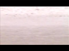 beach voyeur watch thru bikini obese jiggly gazoo cameltoe