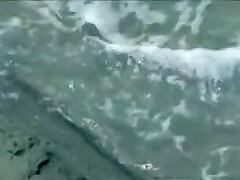 Beautiful bare girls pose for photos at the beach