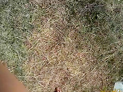 Nudist camp at the lake with lots of men and women