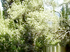 Horny pornstar in crazy anal, facial adult scene