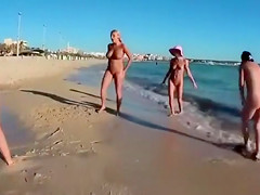 Four playful chicks and one ball