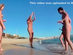 Four playful chicks and one ball