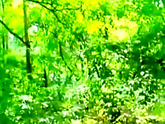 Exhibition in the forest to play with a bottle