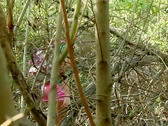 Horny pornstars Danica Dillan and Dahlia Sky in amazing dildos/toys, tattoos sex scene