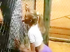 Bj through a fence