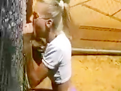 Bj through a fence