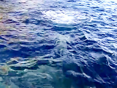 German straight bear outdoor sex