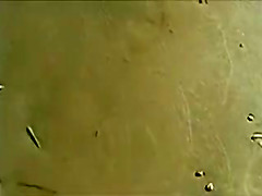 Public Beach Pervert Jerks Off on Nudist Girl Ass