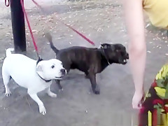 Horny pornstar in incredible threesomes, facial sex clip