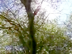 Erotika (1994) - full movie with buck adams french dubbed