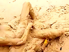 Muddy vibrator