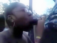 Amazing homemade Blowjob, Outdoor adult clip