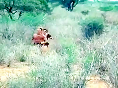 Tarzan shame of jane