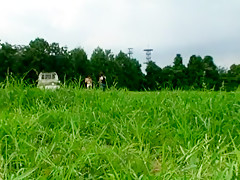 Fabulous homemade Hardcore, Doggy Style adult video