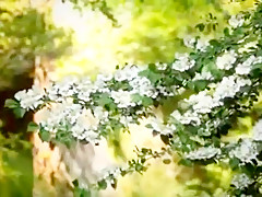 Crazy homemade Wife, Outdoor xxx video